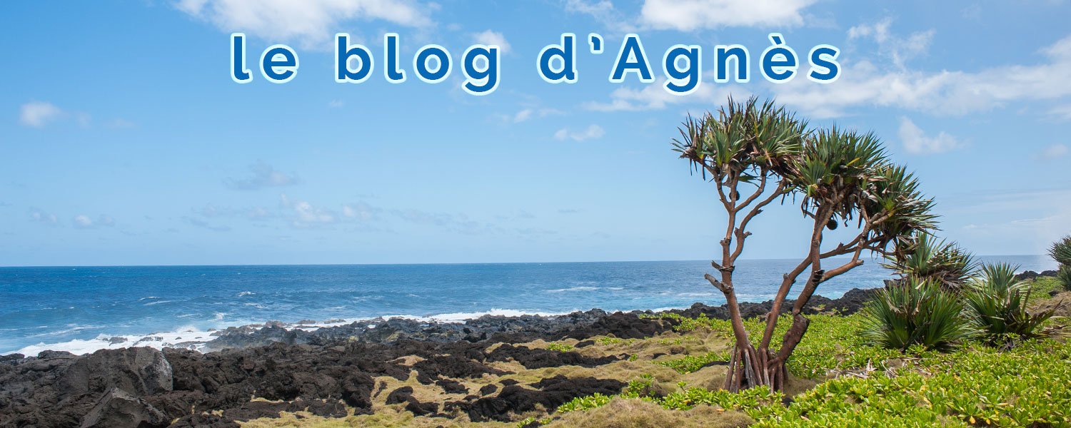 Le blog d'Agnès